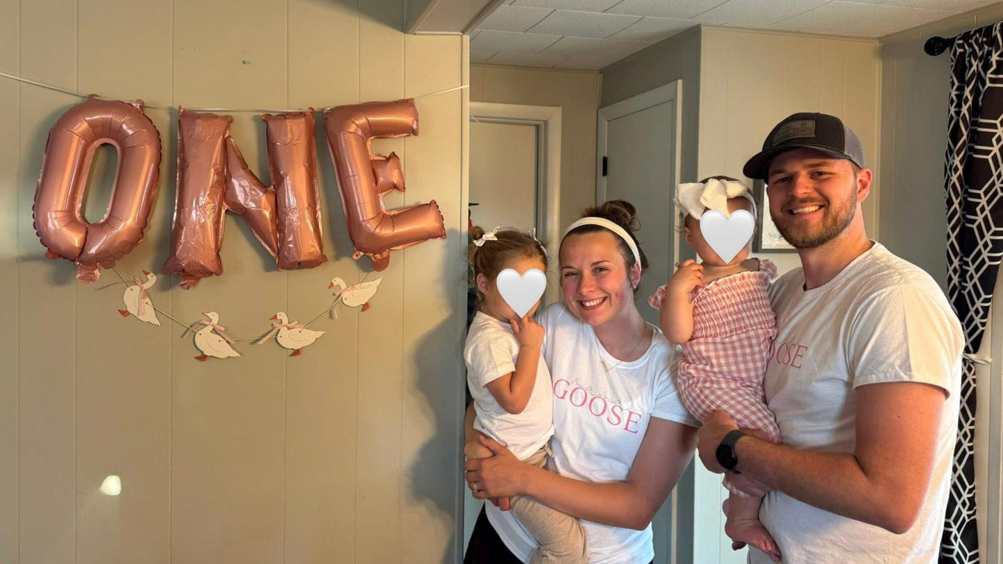 Birthday Themed Apparel / 'Silly Goose' / Baby's First Birthday: Family Party Outfits